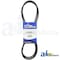 A & I Products Belt, Drive Set/2 15.5" x4" x0.7" A-7540430 - alternate 2